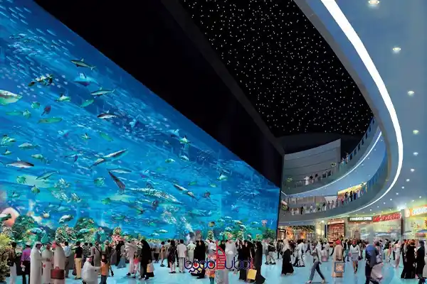 Dubai Mall Aquarium