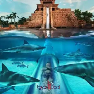 The famous slide of Atlantis Water Park