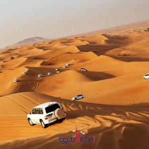 Normal Al Aweer desert tour