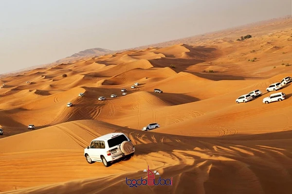 Normal Al Aweer desert tour